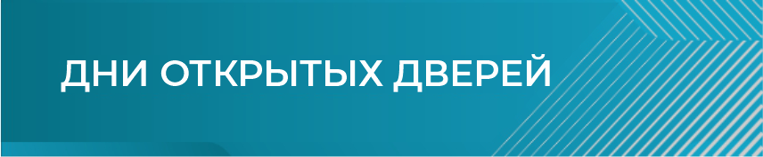 кнопка на сайт.png
